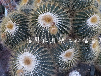 信用社逾期上征信会怎么样 信用社逾期上征信会怎么样