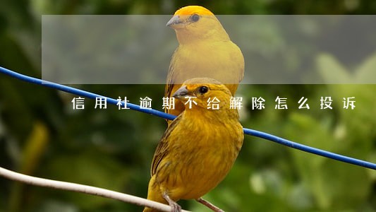 信用社逾期不给解除怎么投诉 信用社逾期不给解除怎么投诉