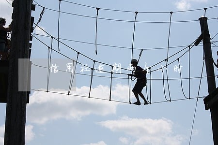 信用社逾期两个小时 信用社逾期两个小时