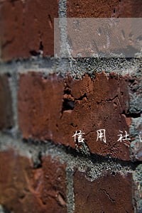 信用社逾期两天 信用社逾期两天