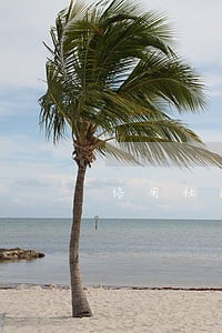 信用社逾期买房 信用社逾期买房