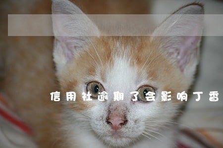信用社逾期了会影响丁香借款吗