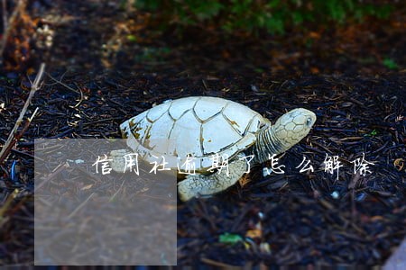信用社逾期了怎么解除 信用社逾期了怎么解除
