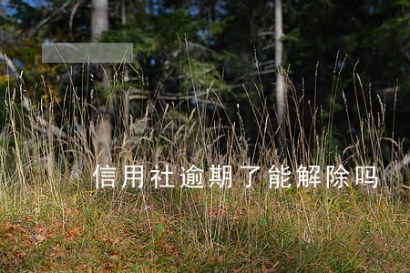 信用社逾期了能解除吗 信用社逾期了能解除吗