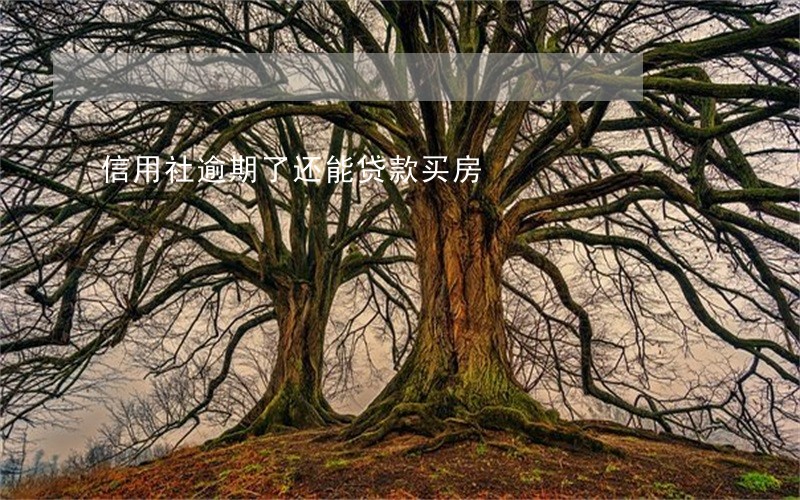 信用社逾期了还能贷款买房 信用社逾期了还能贷款买房