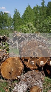 信用社逾期交利息是多少 信用社逾期交利息是多少