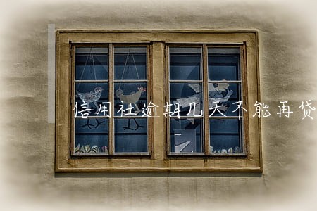 信用社逾期几天不能再贷
