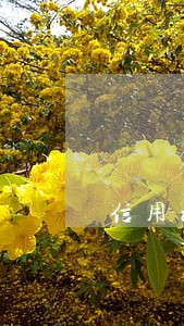 信用社逾期几天没事 信用社逾期几天没事
