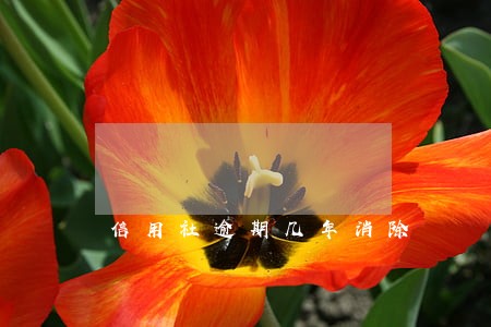 信用社逾期几年消除 信用社逾期几年消除