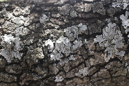信用社逾期利息怎么办 信用社逾期利息怎么办