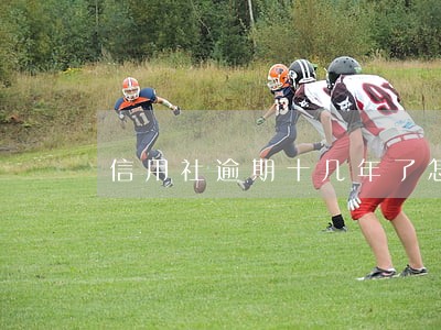 信用社逾期十几年了怎么办 信用社逾期十几年了怎么办