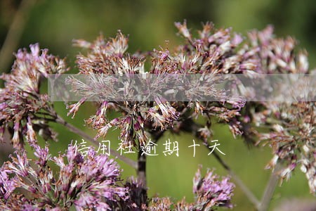 信用社逾期十天 信用社逾期十天