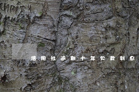 信用社逾期十年欠款利息是多少