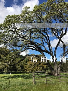 信用社逾期半年了可以只还本金吗 信用社逾期半年了可以只还本金吗