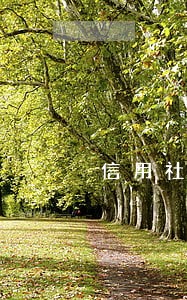 信用社逾期名单 信用社逾期名单