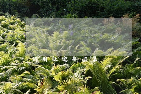 信用社逾期后果 信用社逾期后果
