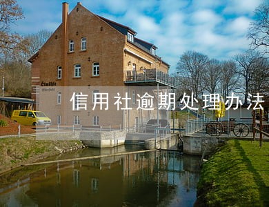 信用社逾期处理办法