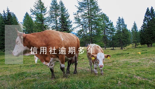 信用社逾期多年 信用社逾期多年