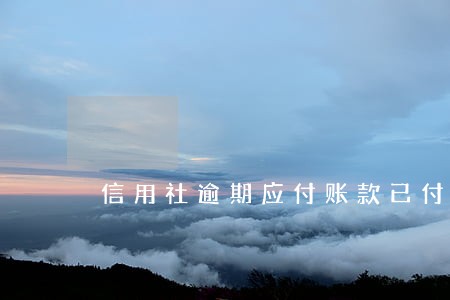 信用社逾期应付账款已付 信用社逾期应付账款已付