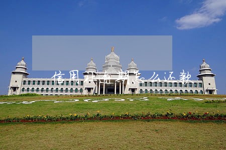信用社逾期怎么还款