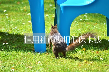 信用社逾期扣低保卡钱 信用社逾期扣低保卡钱