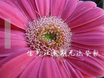 信用社逾期无法贷款 信用社逾期无法贷款