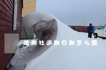 信用社逾期日期怎么算 信用社逾期日期怎么算