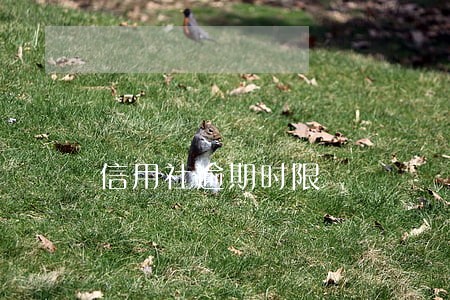 信用社逾期时限 信用社逾期时限