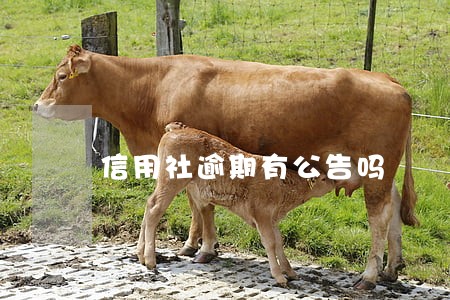 信用社逾期有公告吗