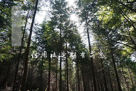 信用社逾期有罚息 信用社逾期有罚息