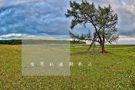 信用社逾期未还 信用社逾期未还