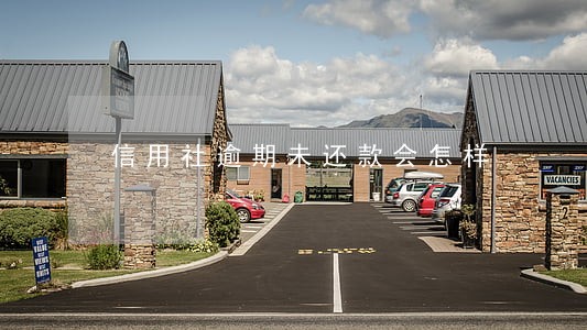 信用社逾期未还款会怎样 信用社逾期未还款会怎样