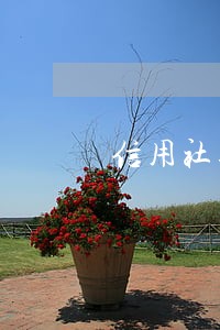信用社逾期没清利息