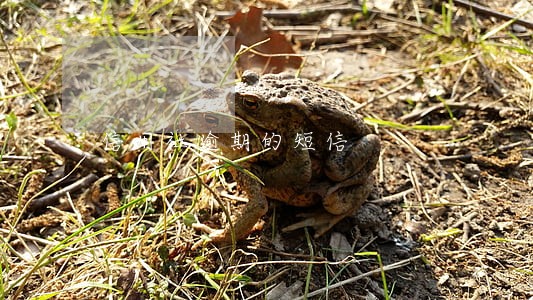 信用社逾期的短信 信用社逾期的短信