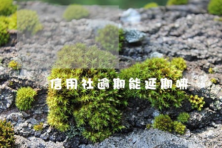 信用社逾期能延期嘛 信用社逾期能延期嘛