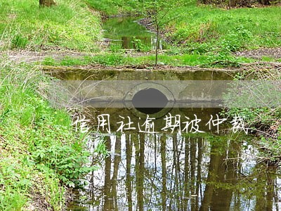信用社逾期被仲裁 信用社逾期被仲裁