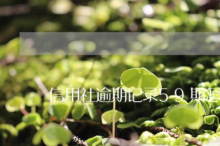 信用社逾期记录59期怎么办 信用社逾期记录59期怎么办