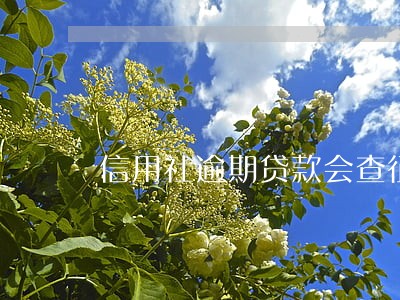 信用社逾期贷款会查征信吗 信用社逾期贷款会查征信吗