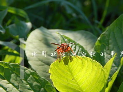 信用社逾期贷款利率怎样算 信用社逾期贷款利率怎样算