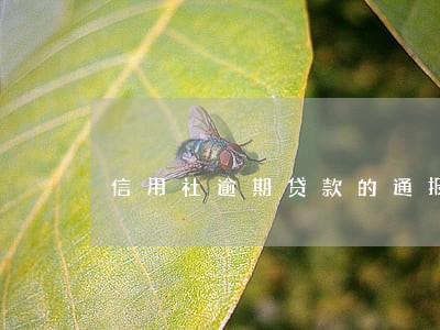 信用社逾期贷款的通报 信用社逾期贷款的通报