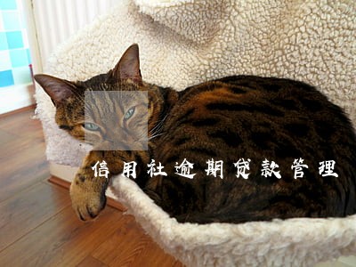 信用社逾期贷款管理 信用社逾期贷款管理