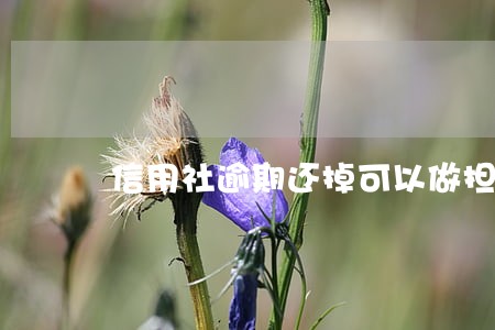 信用社逾期还掉可以做担保人吗 信用社逾期还掉可以做担保人吗