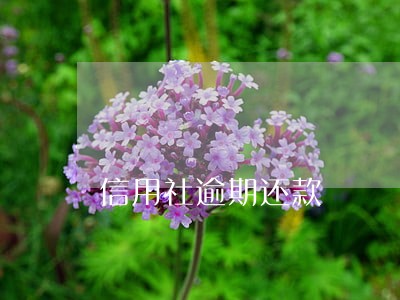 信用社逾期还款