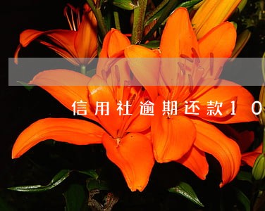 信用社逾期还款10万元