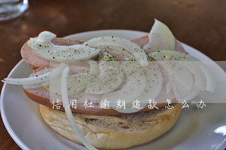 信用社逾期追款怎么办 信用社逾期追款怎么办