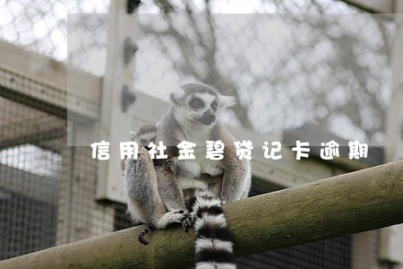 信用社金碧贷记卡逾期 信用社金碧贷记卡逾期