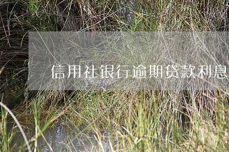 信用社银行逾期贷款利息 信用社银行逾期贷款利息