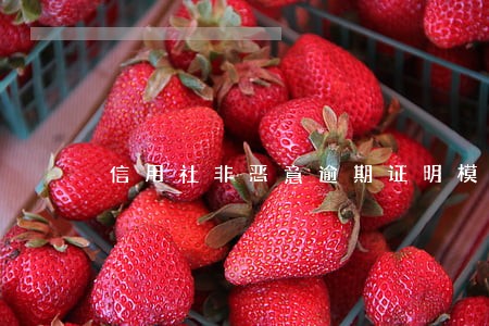 信用社非恶意逾期证明模板 信用社非恶意逾期证明模板