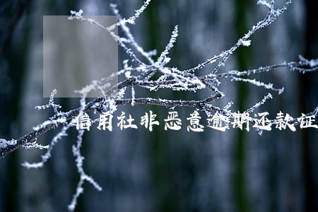 信用社非恶意逾期还款证明 信用社非恶意逾期还款证明
