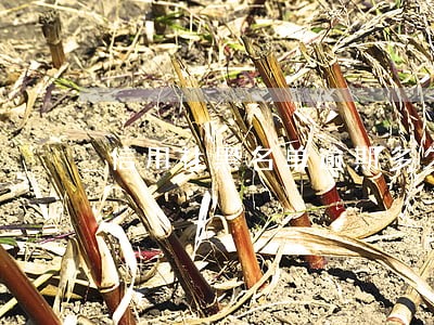 信用社黑名单逾期多久 信用社黑名单逾期多久